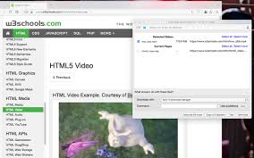 Six Tips for Using a Video Downloader