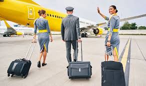 Essential Guide to Flight Attendant Luggage: Choosing the Best Bags for Travel